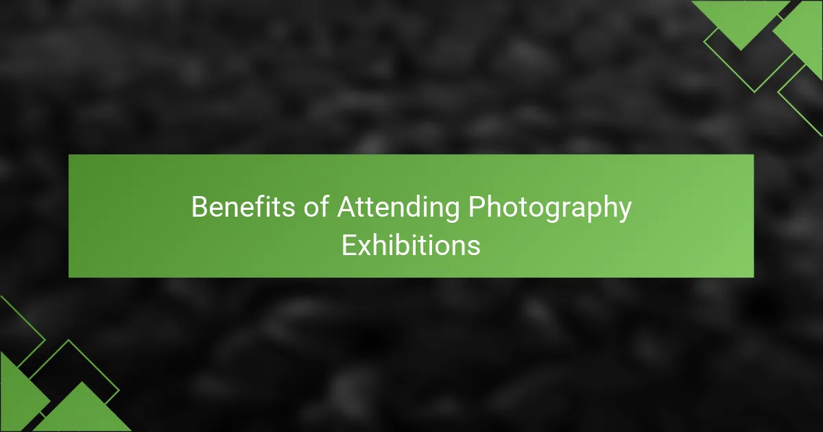 Benefits of Attending Photography Exhibitions