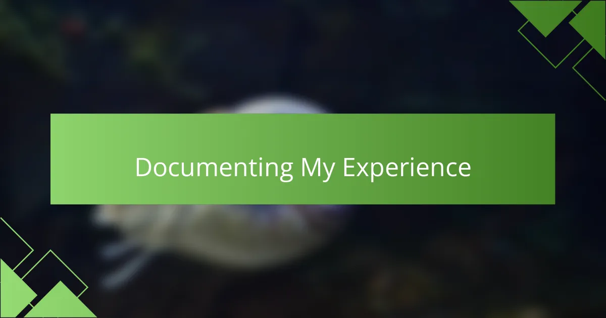 Documenting My Experience