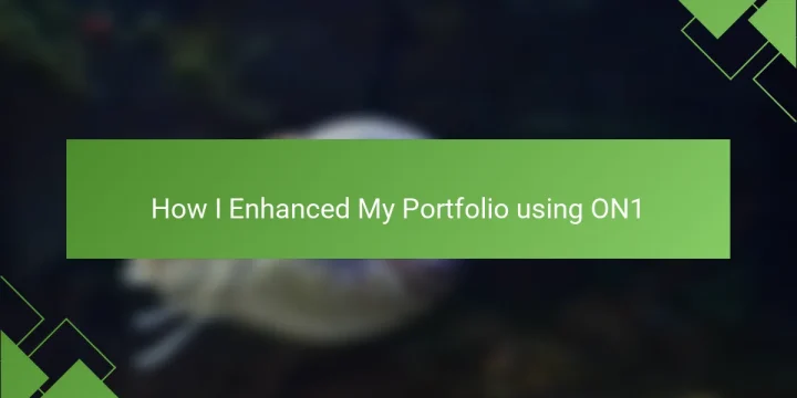 How I Enhanced My Portfolio using ON1