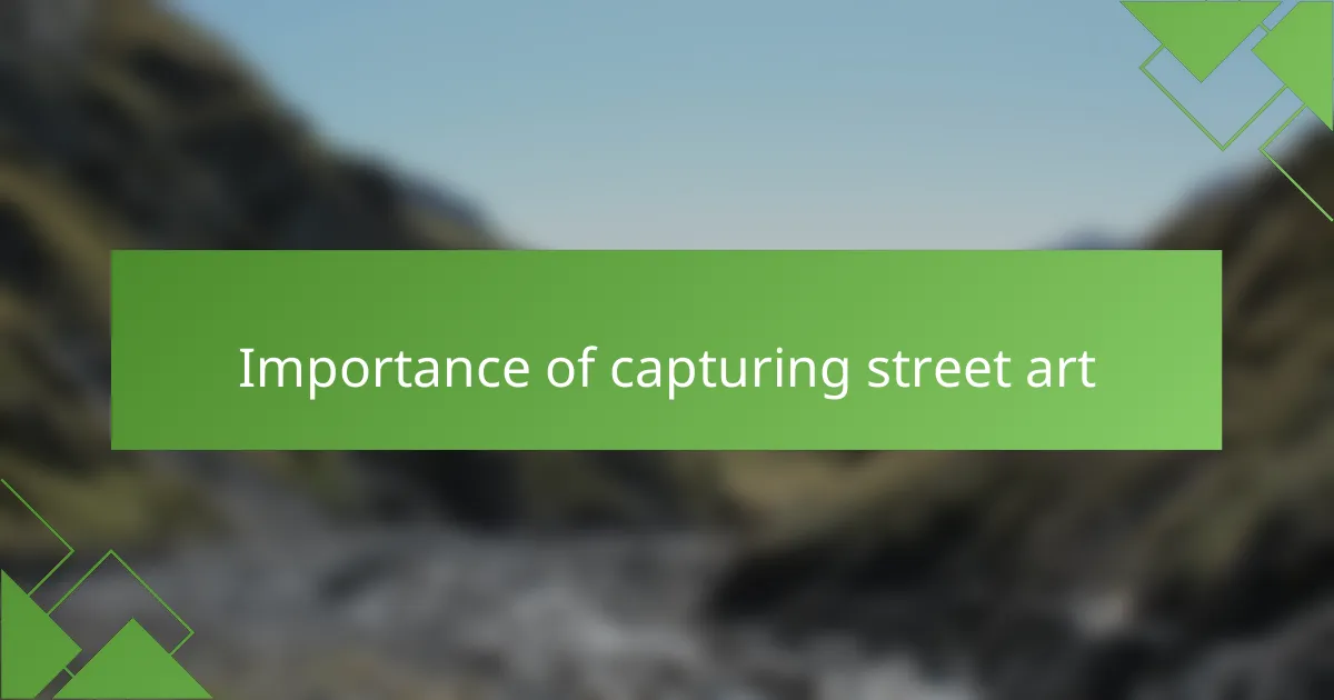 Importance of capturing street art