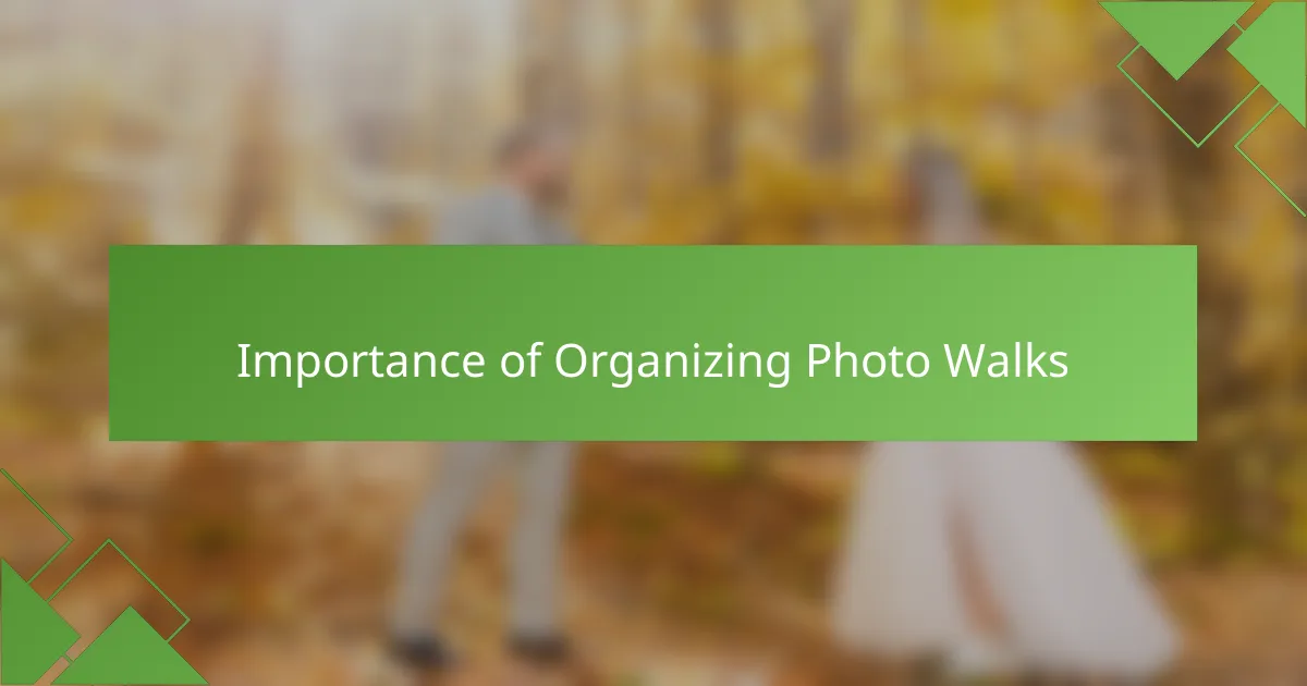 Importance of Organizing Photo Walks