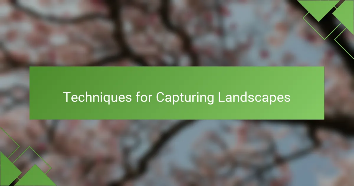 Techniques for Capturing Landscapes