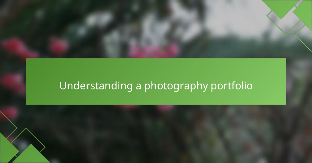 Understanding a photography portfolio