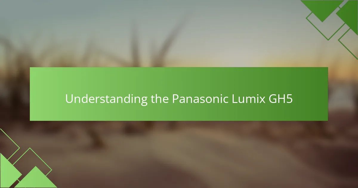 Understanding the Panasonic Lumix GH5
