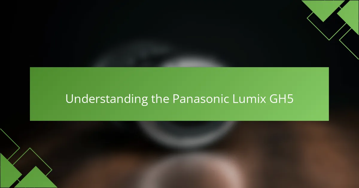 Understanding the Panasonic Lumix GH5